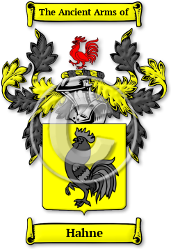 Hahne Family Crest Download (jpg) Legacy Series - 150 DPI