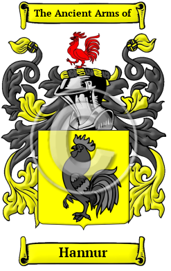 Hannur Family Crest/Coat of Arms