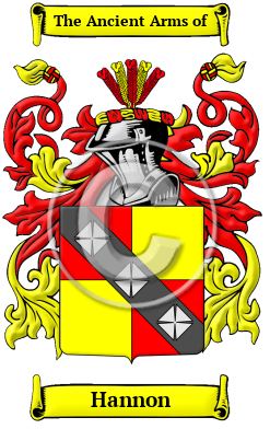 Hannon Family Crest/Coat of Arms