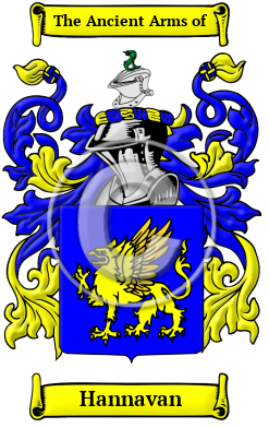 Hannavan Family Crest/Coat of Arms