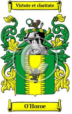 O'Horoe Family Crest/Coat of Arms