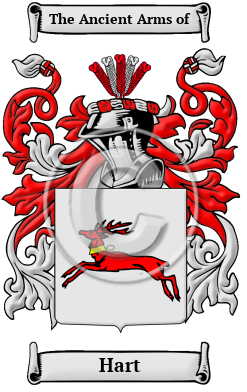 Hart Family Crest/Coat of Arms
