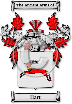 Hart Family Crest Download (jpg) Legacy Series - 150 DPI