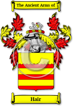 Hair Family Crest Download (jpg) Legacy Series - 150 DPI