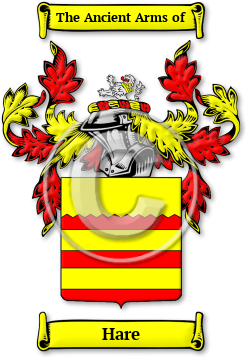 Hare Family Crest Download (jpg) Legacy Series - 150 DPI