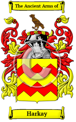 Harkay Family Crest/Coat of Arms