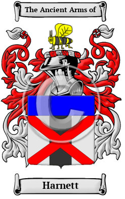 Harnett Family Crest/Coat of Arms