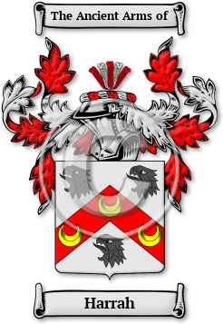 Harrah Family Crest Download (JPG) Legacy Series - 600 DPI