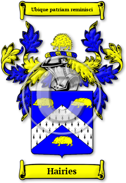 Hairies Family Crest Download (jpg) Legacy Series - 150 DPI