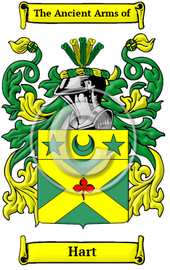 Hart Family Crest/Coat of Arms