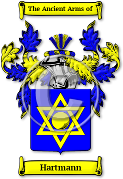 Hartmann Family Crest Download (jpg) Legacy Series - 150 DPI
