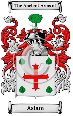 Aslam Family Crest/Coat of Arms