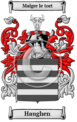Haughen Family Crest/Coat of Arms