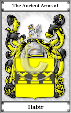 Habir Family Crest Download (JPG)  Book Plated - 150 DPI