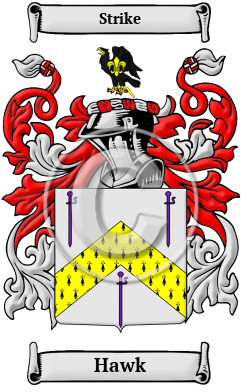 Hawk Family Crest/Coat of Arms