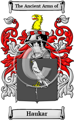 Haukar Family Crest/Coat of Arms