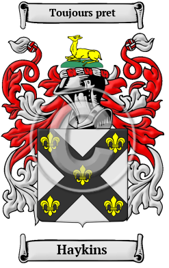 Haykins Family Crest/Coat of Arms