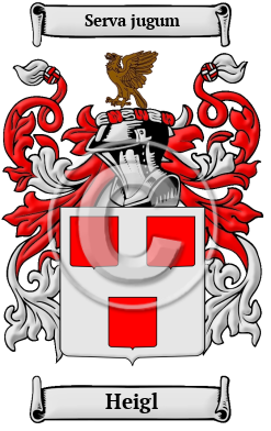 Heigl Family Crest/Coat of Arms