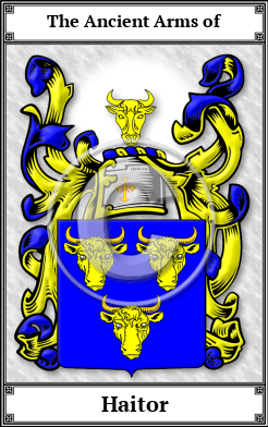 Haitor Family Crest Download (JPG) Book Plated - 600 DPI