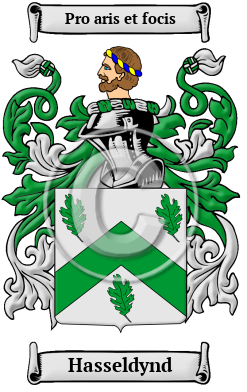 Hasseldynd Family Crest/Coat of Arms