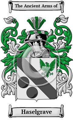 Haselgrave Family Crest/Coat of Arms