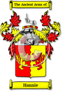 Hannie Family Crest Download (JPG) Legacy Series - 600 DPI