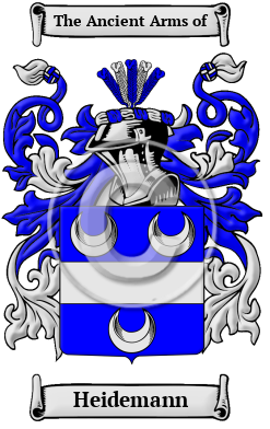 Heidemann Family Crest/Coat of Arms