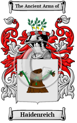 Haidenreich Family Crest/Coat of Arms