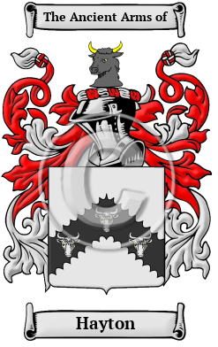 Hayton Family Crest/Coat of Arms