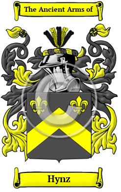Hynz Family Crest/Coat of Arms