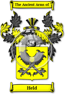Held Family Crest Download (JPG) Legacy Series - 600 DPI