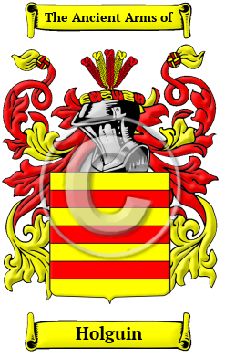 Holguin Family Crest/Coat of Arms