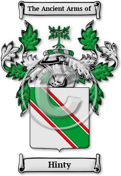 Hinty Family Crest Download (jpg) Legacy Series - 150 DPI