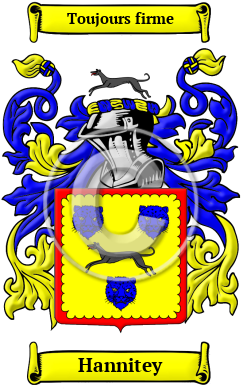 Hannitey Family Crest/Coat of Arms
