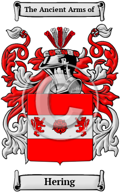 Hering Family Crest/Coat of Arms