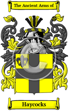 Haycocks Family Crest/Coat of Arms