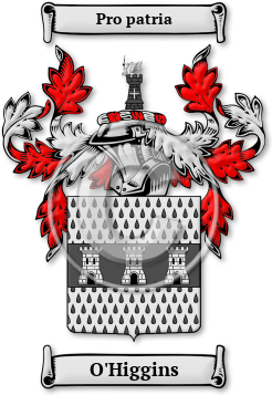 O'Higgins Family Crest Download (jpg) Legacy Series - 150 DPI