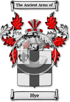 Hye Family Crest Download (JPG) Legacy Series - 600 DPI