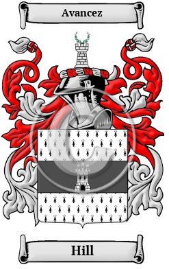 Hill Family Crest/Coat of Arms