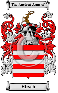 Hirsch Family Crest/Coat of Arms