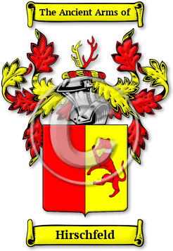Hirschfeld Family Crest Download (JPG) Legacy Series - 600 DPI