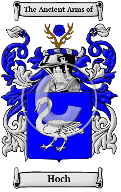 Hoch Family Crest/Coat of Arms