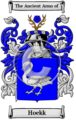 Hoekk Family Crest/Coat of Arms