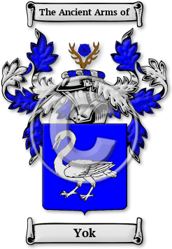 Yok Family Crest Download (jpg) Legacy Series - 150 DPI