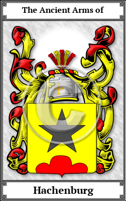 Hachenburg Family Crest Download (JPG) Book Plated - 600 DPI