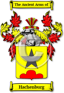 Hachenburg Family Crest Download (JPG) Legacy Series - 600 DPI