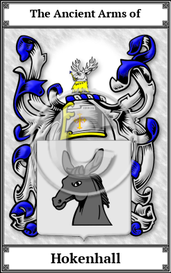 Hokenhall Family Crest Download (JPG) Book Plated - 600 DPI