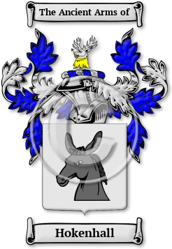 Hokenhall Family Crest Download (JPG) Legacy Series - 600 DPI