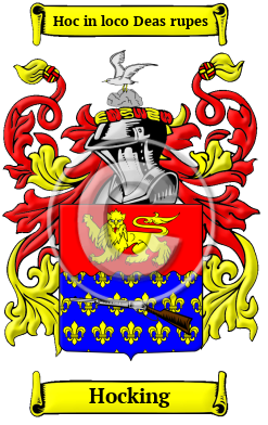 Hocking Family Crest/Coat of Arms