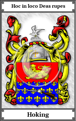 Hoking Family Crest Download (JPG)  Book Plated - 150 DPI